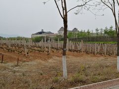 -北京张裕爱斐堡酒庄