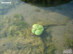 -昆山城市生态森林公园