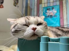 -小时光咖啡馆(开森度假森林店)