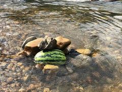 -水底山庄园温泉