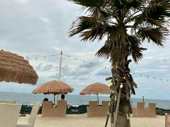 -Cafe Aewol Monsant