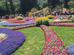 -深圳仙湖植物园