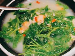 -羽鸽集·乳鸽专门店·地道顺德菜(岭南站店)