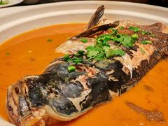 绿杨红烧鱼头-绿杨春·淮扬宴(庐山路店)