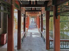 -碑林公园
