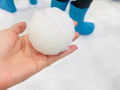 -Mr·Kuma酷么先生雪之乐园