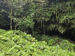 -海口火山口国家地质公园