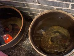 -印象鲵宴·张家界地标美食名片(溪布街店)