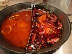 -朱光玉火锅馆(正弘城店)