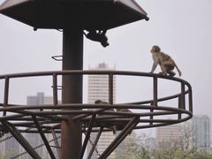 -昆明动物园
