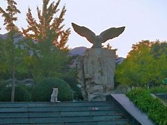 -北京鹫峰国家森林公园