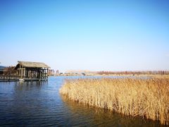 -溱湖国家湿地公园