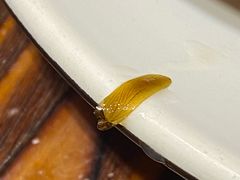 -渔米粥(罗湖店)