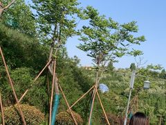 -白鹿原影视城