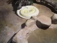 -灵玲国际马戏城