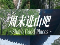 -王顺山国家森林公园