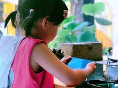 -春树下·树屋花房西餐厅(罍街AS1980店)