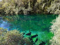 -叠溪松坪沟景区