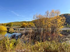 -洮儿河国家湿地公园