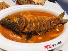 -阿五黄河大鲤鱼(海尚店)