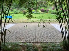 -星巴克(人民公园店)