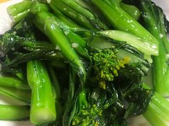 -鸽王世家(东华东路店)