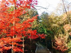 -黄公望隐居地