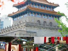 -上海共青森林公园