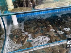 -聚德福海鲜家常菜(刘庄店)