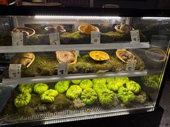 -滇野云南野生菌餐厅(陕西南路店)