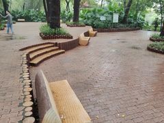 -晓港公园