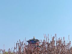 -永定河休闲森林公园