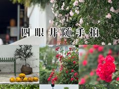 -杭州西湖风景名胜区-满觉陇四眼井