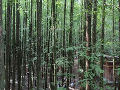 -山王坪喀斯特国家生态公园