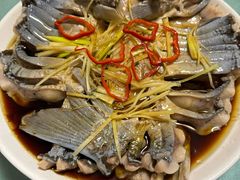 -煲来饱去冷水鱼