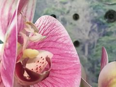 -上海大自然野生昆虫馆(东方明珠·爬宠昆虫探索中心)