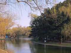 -上海共青森林公园