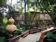 -天门沟九州驿站树上汤泉