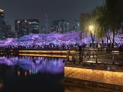 -西北湖绿化广场