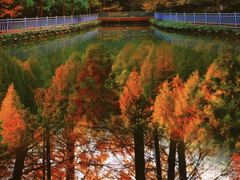 -山王坪喀斯特国家生态公园