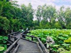 -合肥三国新城遗址公园