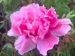 -华南国家植物园-售票处