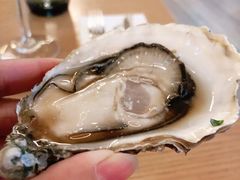 N1大号生蚝-EN SPACE恩空间