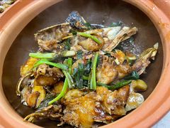 -凤城康记饭店