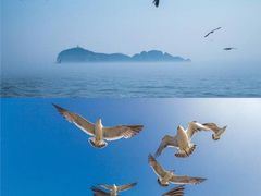 -海驴岛(荣成市)