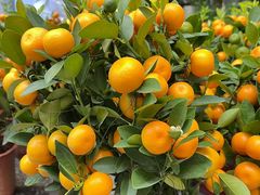 -MADO冰淇淋咖啡馆(淘金店)