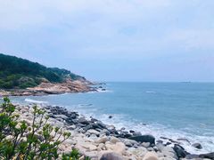 -广东惠东海龟国家级自然保护区