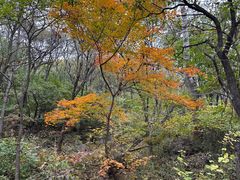 -玉渡山自然风景区