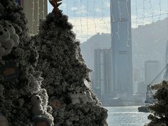 -海港城