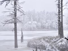 -瓦屋山景区